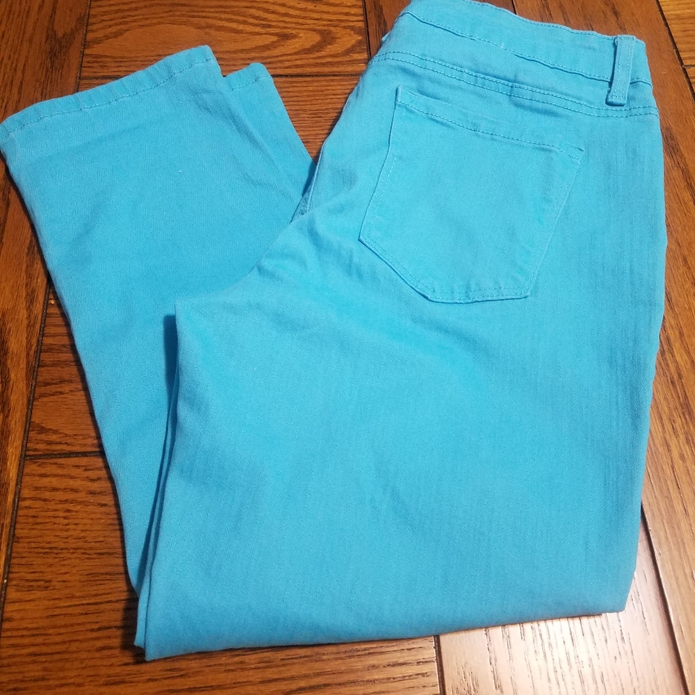 Ladies Relativity Crop - Ankle Pants  Size 10 Blue